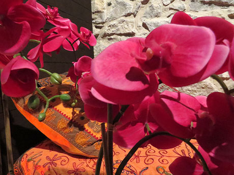 Temps de Flors 2017. Muntatges i instal·lacions florals als diversos espais de la Casa Laporta-Cúndaro