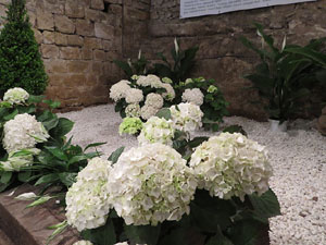 Temps de Flors 2017. Instal·lació floral Catalunya, terra de pau al soterrani II de la Torre Gironella