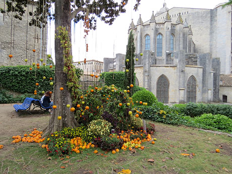Temps de Flors 2017. Instal·lacions i muntatges florals als Jardins de la Francesa, a tocar els absis de la Catedral