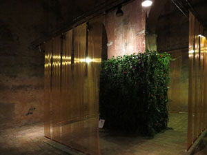 Temps de Flors 2017. Instal·lacions als espais del Museu d'Història La Carbonera i La Cisterna