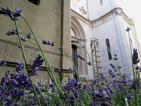 Façana del Sagrat Cor de Girona durant Temps de Flors 2017