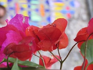 Temps de Flors 2018. Muntatges florals als Jardins del Campaner