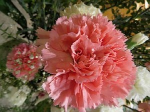 Temps de Flors 2018. Muntatges i instal·lacions florals al Centre geriàtric Maria Gay