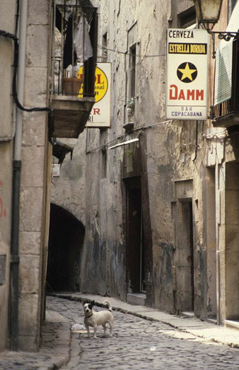 L'antic 'barri xino' de Girona. 1990