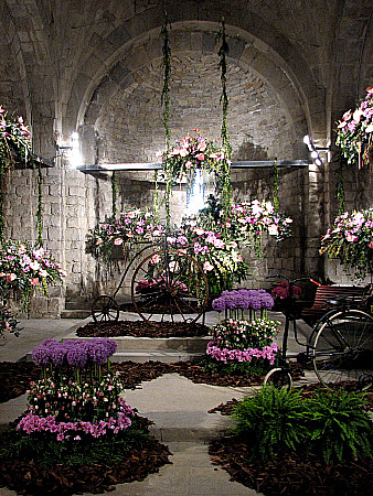 Sant Nicolau durant Temps de Flors 2009