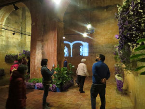 Temps de Flors 2016. Museu d'Història de Girona: espais de la Carbonera, la Cisterna, la Terrassa del Museu i l'Assecador