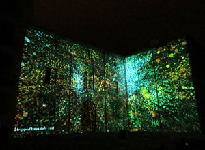 3r Festival Internacional de Mapping de Girona 2016