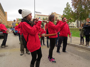 Fires 2016. 35a. Trobada de Gegants de Fires de Sant Narcís