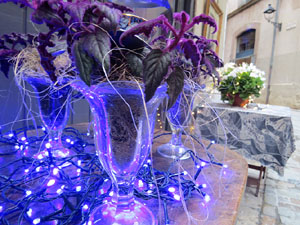 Temps de Flors 2016. Altres espais