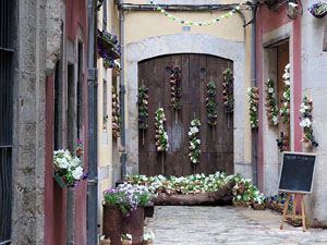 Temps de Flors 2016. Altres espais