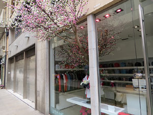 Temps de Flors 2016. Altres espais