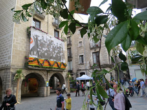 Temps de Flors 2016. Altres espais