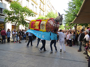 Festes de Primavera de Girona 2017. Cercavila de mulasses amb la Mula Baba i l'Ase de Bessan