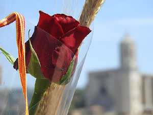 Sant Jordi 2017 a Girona