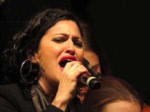 Festival Strenes 2017. Concert Tossudament Llach a les escales de la Catedral