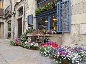 Temps de Flors 2017. Muntatges, instal&middot;lacions i exposicions florals a diversos indrets