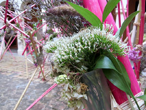 Temps de Flors 2017. Muntatges, instal&middot;lacions i exposicions florals a diversos indrets