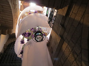 Temps de Flors 2017. Muntatges, instal&middot;lacions i exposicions florals a diversos indrets