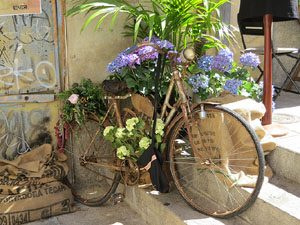 Temps de Flors 2017. Muntatges, instal&middot;lacions i exposicions florals a diversos indrets