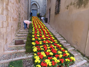 Temps de Flors 2017. Making of de l'esdeveniment