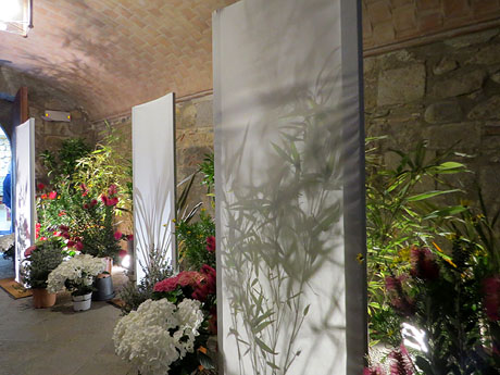 Temps de Flors 2018. Instal·lacions florals als espais del carrer de la Força i Germanes Maria Gay