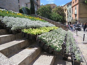 Temps de Flors 2018. Instal·lacions florals a les escales de la basílica de Sant Feliu