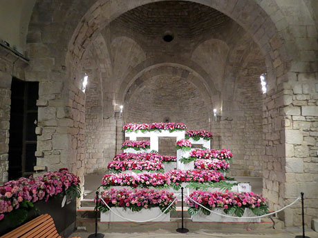Temps de Flors 2018. Instal·lacions i muntatges florals a la nau romànica de Sant Nicolau