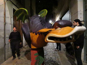 Fires 2018. La Beatufarra, descens del Beatusaure per les escales de la Catedral de Girona