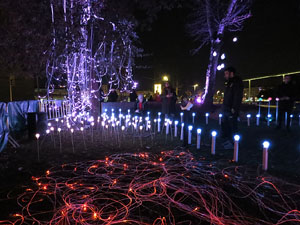 Nadal 2018 a Girona. VIBRA. Festa de la llum. Instal&middot;lacions a diversos indrets de la ciutat