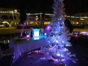 Nadal 2018 a Girona. VIBRA. Festa de la llum. Instal&middot;lacions a diversos indrets de la ciutat