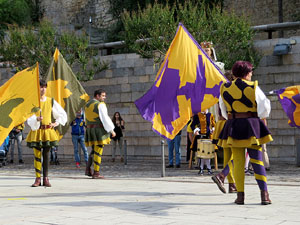 Fires de Sant Narc&iacute;s 2018. Toc de rams. Canvi dels rams de flors de les gegantes de Girona