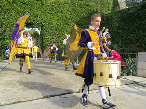 Fires de Sant Narc&iacute;s 2018. Toc de rams. Canvi dels rams de flors de les gegantes de Girona