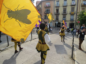 Fires de Sant Narc&iacute;s 2018. Toc de rams. Canvi dels rams de flors de les gegantes de Girona