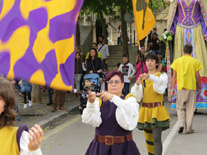 Fires de Sant Narc&iacute;s 2018. Toc de rams. Canvi dels rams de flors de les gegantes de Girona