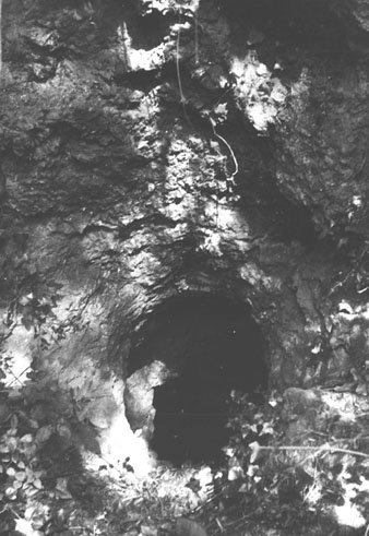 Les mines de Sant Miquel a Campdorà. 1983