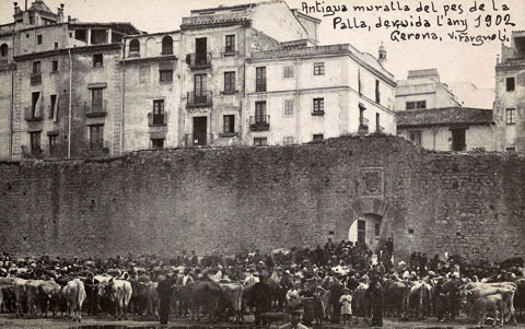 Vista del mercat del bestiar a l'Areny del riu Onyar davant el portal de l'Àngel. Sobre el portal s'observa l'escut de Girona. 1901
