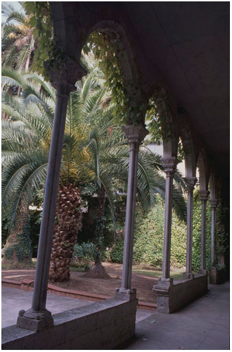 Jardí de la Casa Solterra, actual seu del serveis Territorials de Cultura de la Generalitat a Girona, al carrer Ciutadans. El claustre és part del desaparegut convent de Sant Francesc d'Assís, 2005