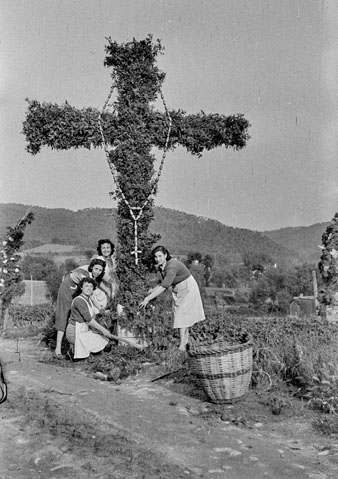 Arribada de la Mare de Déu de Fàtima a Sant Daniel. Grup de dones engalanant una creu. 20 de maig de 1951