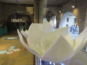 Temps de Flors 2019. Muntatges florals al espais de Caixafòrum, a l'edifici de la Fontana d'Or
