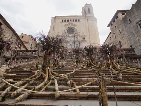 Temps de Flors 2019. Instal·lació 'El bosc de les flors' a les escales de la Catedral