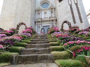Temps de Flors 2019. Instal·lacions florals a les escales de la basílica de Sant Feliu