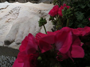 Temps de Flors 2019. Instal·lació floral Memorial Mahatma Gandhi al soterrani II de la Torre Gironella