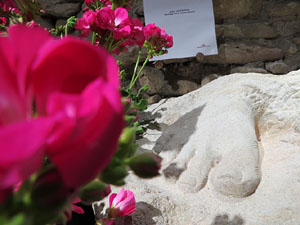 Temps de Flors 2019. Instal·lació floral Memorial Mahatma Gandhi al soterrani II de la Torre Gironella