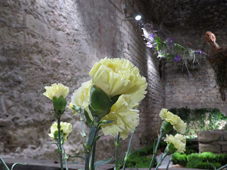 Temps de Flors 2019. Muntatges i instal·lacions florals a la Torre Gironella - Soterrani I