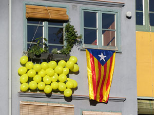 Imatges d'activitats 1-O. Material divers 2017