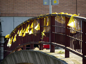 Imatges d'activitats 1-O. Material divers 2017