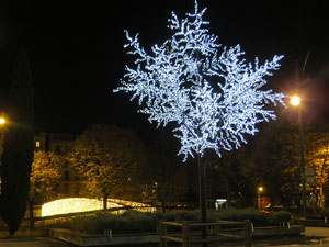 Nadal 2020. La decoració nadalenca dels carrers