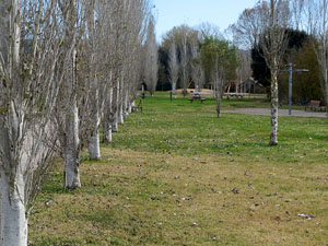 Parcs i jardins de Girona. Parc de Domeny