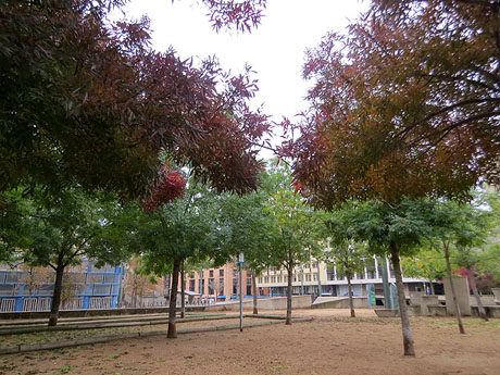 Places de Girona. Plaça de l'U d'octubre de 2017