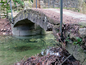 Ponts de Girona. El pont de Sant Pere de Galligants